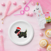 kerstdasje met licht papieren bordje (Feest)