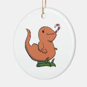 Kerstdeinonychus met Booties Ornament (Links)