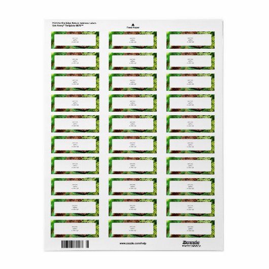 kerstdennenappel etiket (Full Sheet)