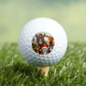 Kerstdieren (6) golfballen (Insitu Shirt)