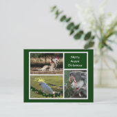 Kerstdieren — Aziatische stijl — Feestdagenkaart (Staand voorkant)