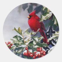 kerstdinaal vogel op Holly Berries