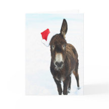 KerstDonkey