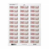 kerstdove met versieringslabel etiket (Full Sheet)