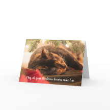 Kerstdromen die Calico Cat slapen, geperonaliseerd