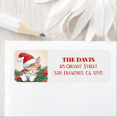 Kerstdromen - Sleeping Kitten in Santa Hat Etiket (Insitu)