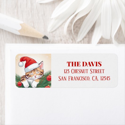 Kerstdromen - Sleeping Kitten in Santa Hat Etiket (Insitu)