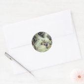 Kerstdroomsticker Ronde Sticker (Envelop)