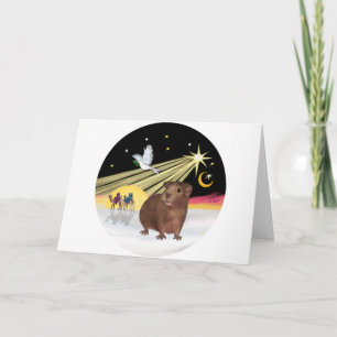 Kerstduif - Cavia 3 Feestdagen Kaart
