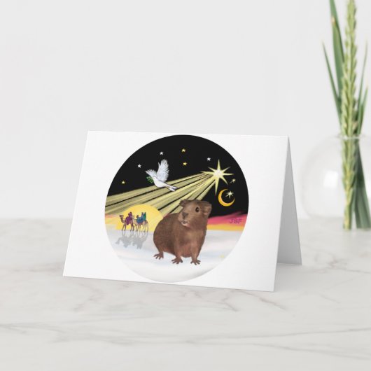 Kerstduif - Cavia 3 Feestdagen Kaart (Voorkant)
