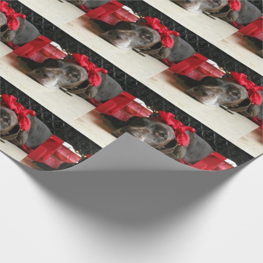 Kerstduitse stengelige aanwijzer cadeaupapier (Hoek)