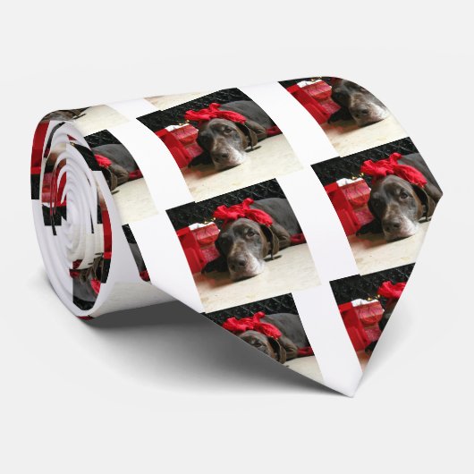 Kerstduitse stengelige aanwijzer stropdas (Opgerold)