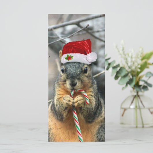 kersteekhoorn (Staand voorkant)