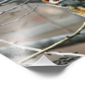 kersteekhoorn foto afdruk (Hoek)