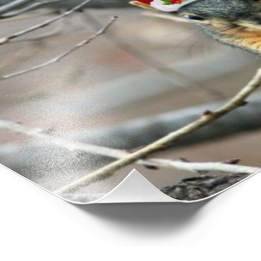 kersteekhoorn foto afdruk (Hoek)