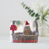 Kersteekhoorn in mandje met sneeuw feestdagenkaart (Staand voorkant)