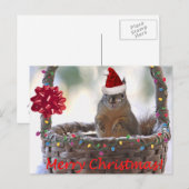 Kersteekhoorn in mandje met sneeuw feestdagenkaart (Voorkant / Achterkant)