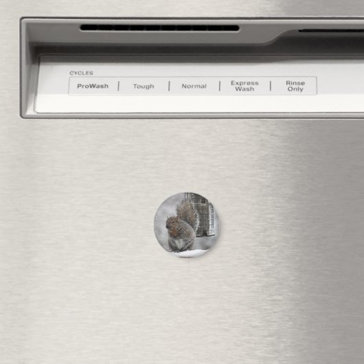 kersteekhoorn magneet (Insitu (Vaatwasser))