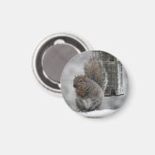 kersteekhoorn magneet (Voorkant / Achterkant)