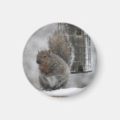 kersteekhoorn magneet (Voorkant)