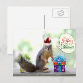kersteekhoorn met kerstcadeautjes feestdagenkaart (Voorkant / Achterkant)