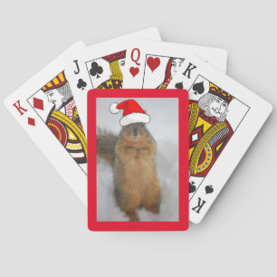 kersteekhoorn met kersthat pokerkaarten