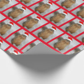 kersteekhoorn met kerstkerstmis cadeaupapier (Hoek)