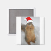 kersteekhoorn met kerstkerstmis magneet (Voorkant / Achterkant)
