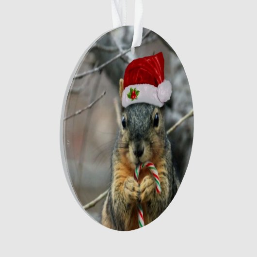 kersteekhoorn ornament (voorkant)