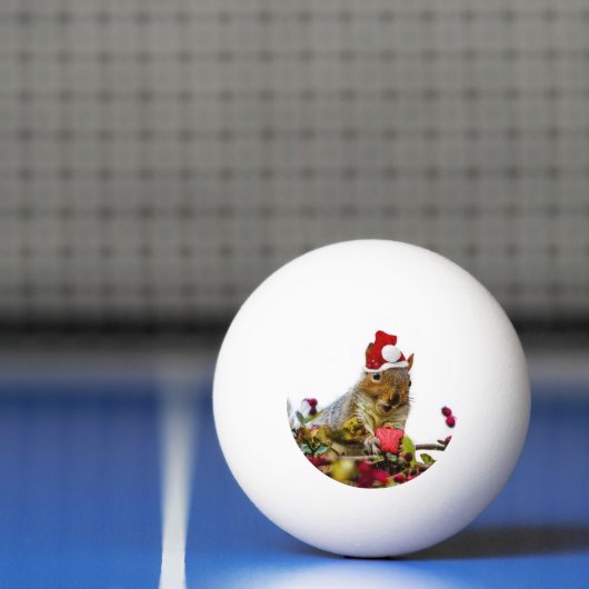 kersteekhoorn pingpongbal (Net)