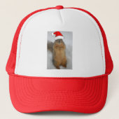 kersteekhoorn trucker pet (Voorkant)