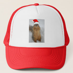 kersteekhoorn trucker pet