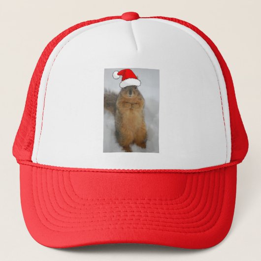 kersteekhoorn trucker pet (Voorkant)