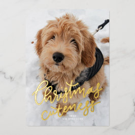 Kerstelijke snoezigheid één foto schattig huisdier folie feestdagenkaart