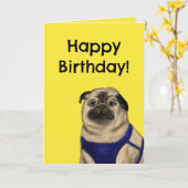 Kerstelijke verjaardagskaart (Pug) Kaart (Gele Bloem)