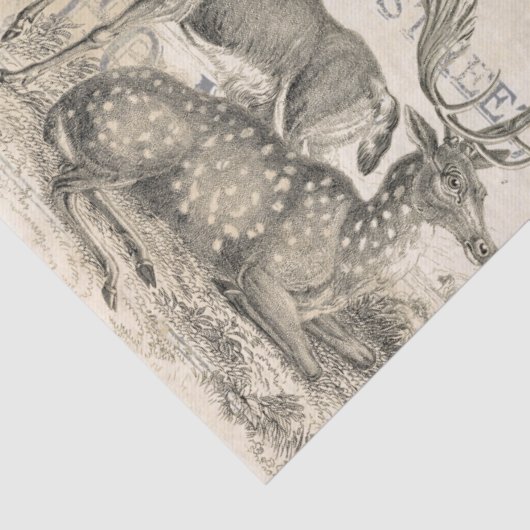 kerstephemera-ontvlechtingstocht tissuepapier (Detail)