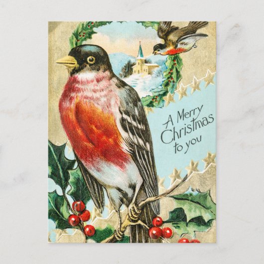  kerstfeest 1908 Robin Bird Feestdagenkaart (Voorkant)