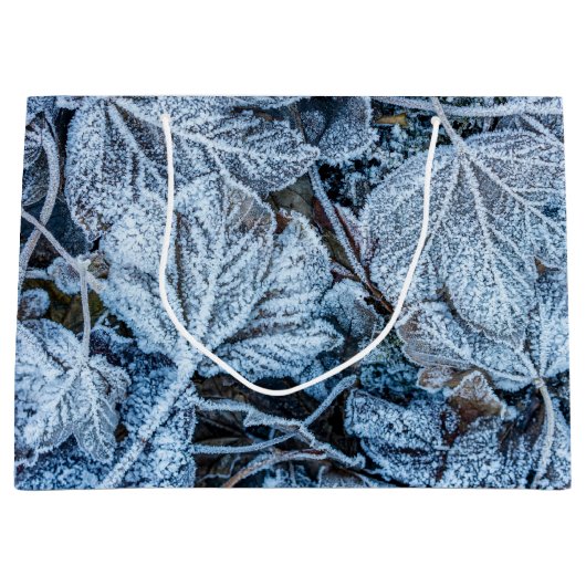 Kerstfeest Blauwe Blauwe Blauwblaasjes sneeuwwinte Groot Cadeauzakje (Voorkant)