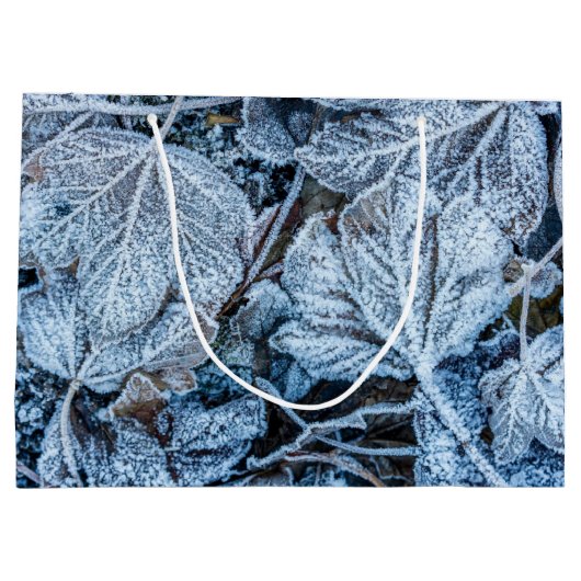 Kerstfeest Blauwe Blauwe Blauwblaasjes sneeuwwinte Groot Cadeauzakje (Achterkant)