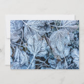 Kerstfeest Blauwe Blauwe Blauwblaasjes sneeuwwinte Kaart (Achterkant)