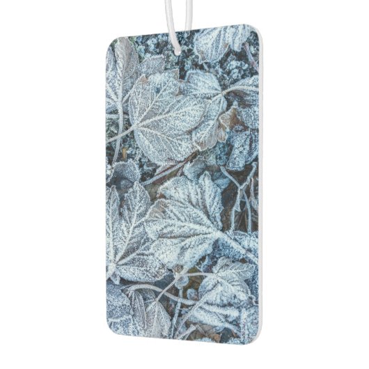 Kerstfeest Blauwe Blauwe Blauwblaasjes sneeuwwinte Luchtverfrisser (Links)