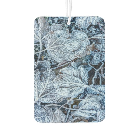 Kerstfeest Blauwe Blauwe Blauwblaasjes sneeuwwinte Luchtverfrisser (Achterkant)