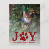 kerstfeest | Foto Pet Holiday Feestdagenkaart (Voorkant)