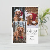 Kerstfeest Funny Pet Merry Kerstfeest 3 Foto Feestdagenkaart (Staand voorkant)