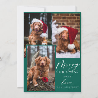 Kerstfeest Funny Pet Merry Kerstmis 3 Foto Holida Feestdagenkaart