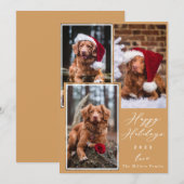 Kerstfeest Funny Pet Prettige feestdagen 3 Feestdagenkaart (Voorkant / Achterkant)