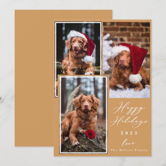 Kerstfeest Funny Pet Prettige feestdagen 3 Feestdagenkaart (Voorkant / Achterkant)