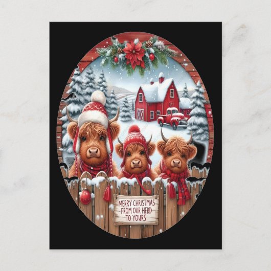Kerstfeest Highland Koe Bubblegum 2025 Briefkaart (Voorkant)