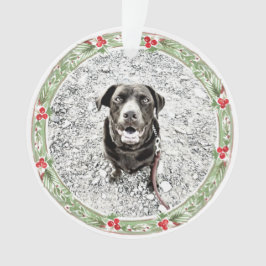 Kerstfeest met foto's op feestdag ornament