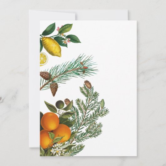 Kerstfeest Pijnbomen & Citroen Winter Botanisch Kaart (Achterkant)